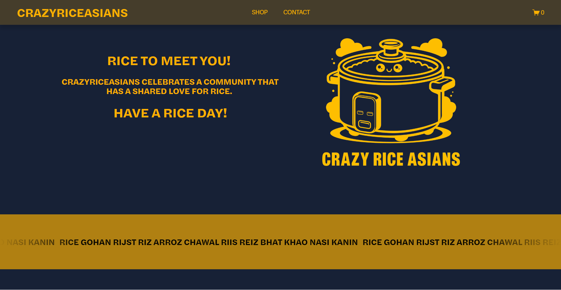 website snippet of crazyriceasians